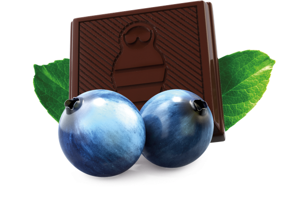 Dark chocolate with blueberries